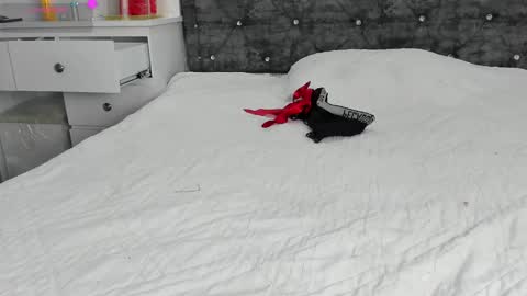 Snapshot of anastasia_danger1 chatting on 01-01-25, 04:18  ANASTASIA DANGER  online show from 01-01-25, 04:18