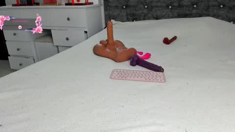 Snapshot of anastasia_danger1 chatting on 02-13-25, 12:11  ANASTASIA DANGER  online show from 02-13-25, 12:11