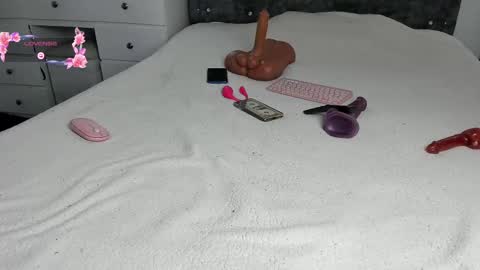 Snapshot of anastasia_danger1 chatting on 03-11-25, 01:01  ANASTASIA DANGER  online show from 03-11-25, 01:01