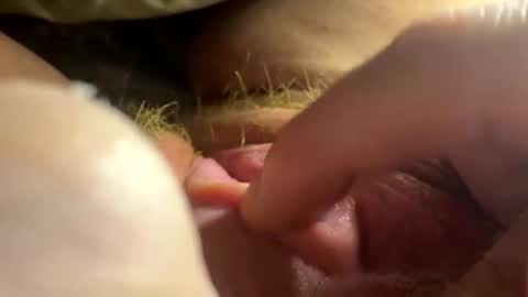 anastasia online show from 02-26-26, 02:54