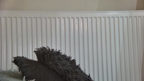 Snapshot of anaworld69 chatting on 01-05-26, 05:27 of just4ana online show from 01-05-26, 05:27