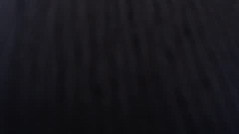 Snapshot of anddrea_ chatting on 01-02-25, 12:03   online show from 01-02-25, 12:03