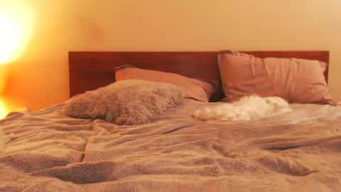 Andra online show from 02-25-26, 07:01