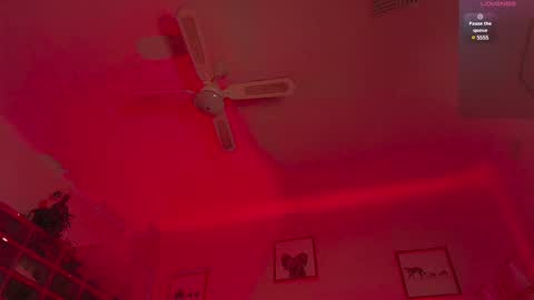 Andre Cole online show from 02-10-25, 05:36