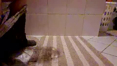 andris40 online show from 02-08-26, 08:56