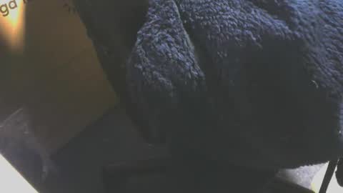 andy503503650759 online show from 12-18-25, 08:20