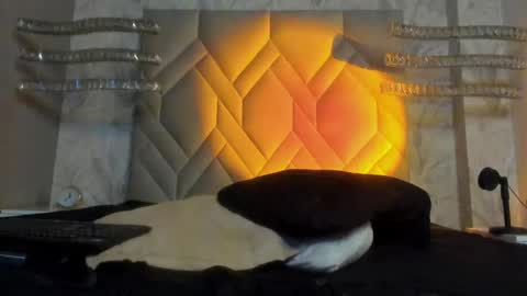 andy palmer online show from 01-05-25, 09:48