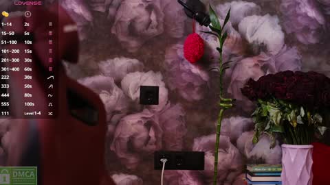 Snapshot of angeellina chatting on 01-14-25, 10:38 angeellina online show from 01-14-25, 10:38