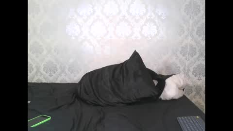 Snapshot of angel_lein chatting on 02-11-25, 07:59 Angel Lein online show from 02-11-25, 07:59