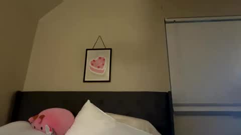 Snapshot of angelgrl444 chatting on 02-23-25, 09:00 Princess Peach online show from 02-23-25, 09:00