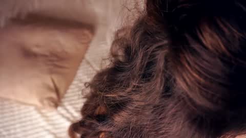 Angelica online show from 01-20-25, 10:40