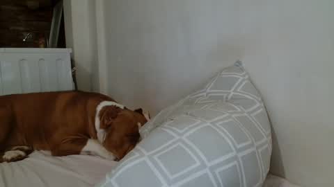 Angela online show from 02-08-25, 09:04