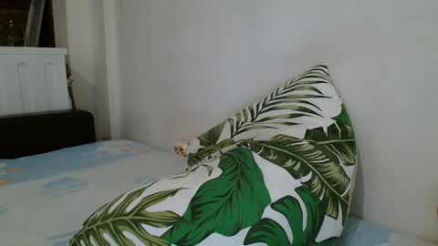 Angela online show from 02-19-25, 12:57