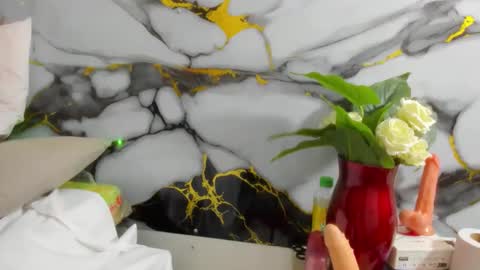 Snapshot of angelierose chatting on 03-14-26, 11:54 angelierose online show from 03-14-26, 11:54