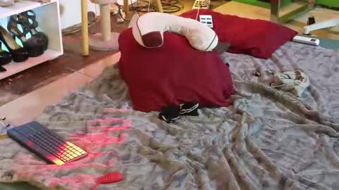 Angel online show from 03-12-25, 04:51