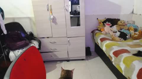 angels online show from 09-25-25, 07:06