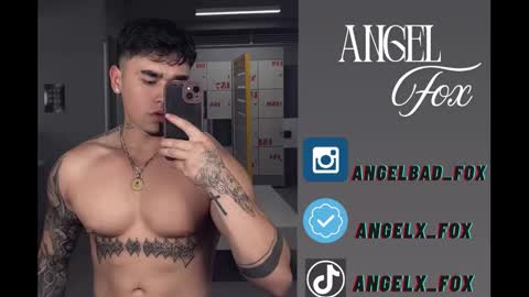 Snapshot of angelx_fox chatting on 11-08-25, 05:40 Angel Fox online show from 11-08-25, 05:40