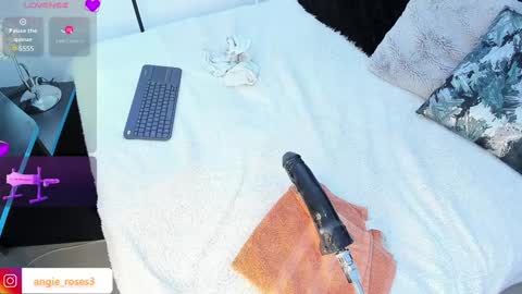 angiee roses online show from 12-13-24, 03:16