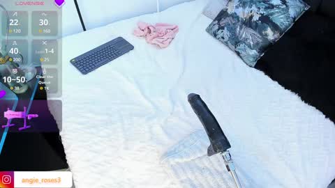 angiee roses online show from 12-14-24, 08:02