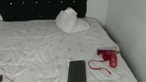 ani_steveson online show from 02-26-26, 05:39