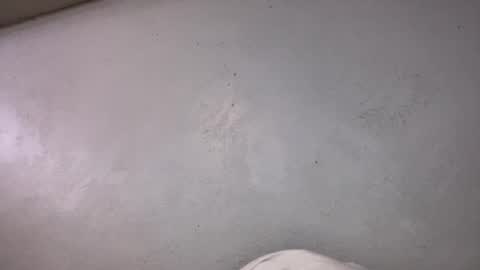 Snapshot of animeboygirls chatting on 10-19-25, 06:36 Animeboygirls online show from 10-19-25, 06:36