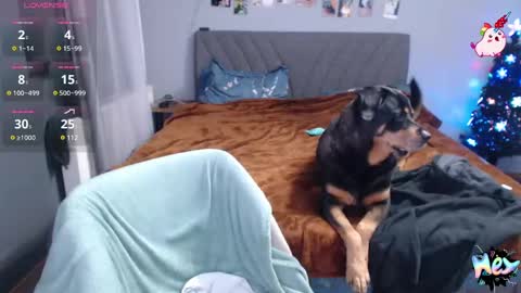 Snapshot of anna_ana chatting on 12-31-24, 10:34 Anadirectgirl online show from 12-31-24, 10:34