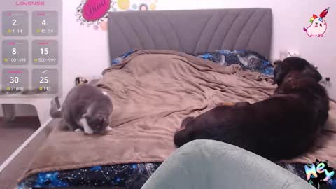 Anadirectgirl online show from 01-08-26, 06:10