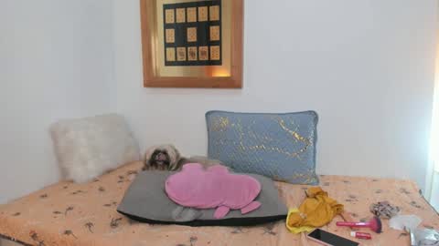 anna online show from 02-26-25, 05:07