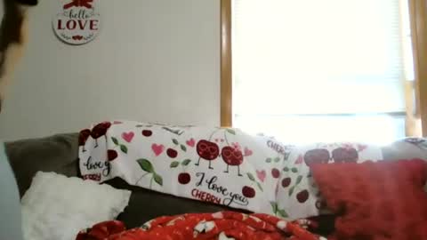 anne online show from 01-05-26, 05:49