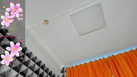 Snapshot of annee_morris chatting on 01-17-25, 04:06 Anne online show from 01-17-25, 04:06