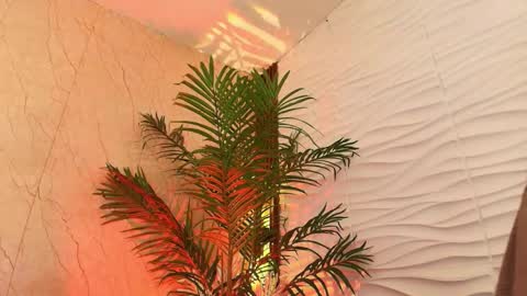 Snapshot of anton__monacu chatting on 11-25-25, 03:50 anton__monacu online show from 11-25-25, 03:50