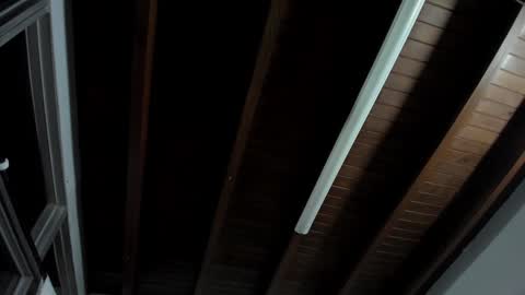 Antonela online show from 12-20-24, 05:36