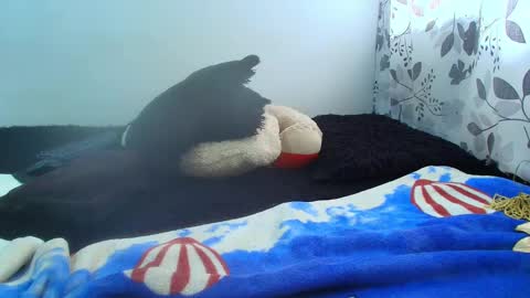 ANTONELLA WILLIAM  INDEPENDIENTE online show from 02-05-25, 05:09