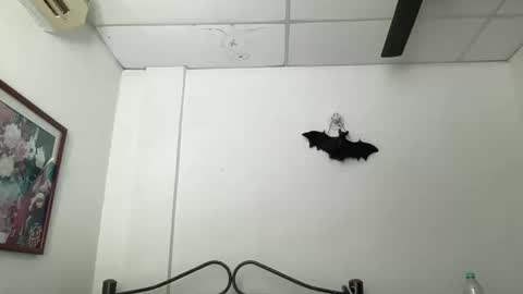 Antonia online show from 12-05-24, 03:28