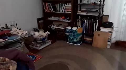 Snapshot of antonino85 chatting on 12-24-24, 07:11 antonino85 online show from 12-24-24, 07:11