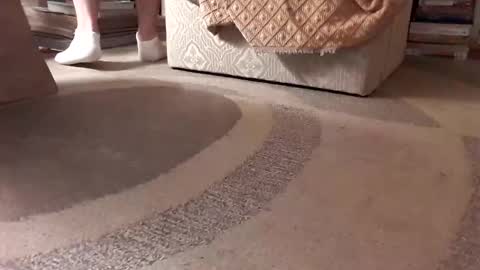 Snapshot of antonino85 chatting on 01-18-25, 02:36 antonino85 online show from 01-18-25, 02:36