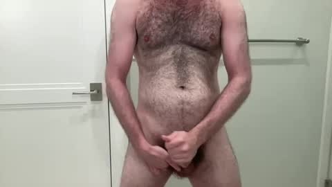 Snapshot of antonioxgambino chatting on 12-01-24, 09:37 The Bush King online show from 12-01-24, 09:37