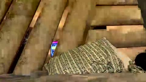 anubis_inpu online show from 11-06-25, 07:53