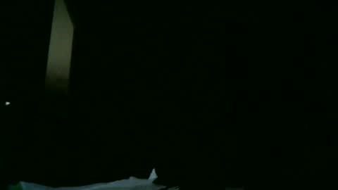 Snapshot of apixaba chatting on 03-09-25, 08:21 furry bear online show from 03-09-25, 08:21