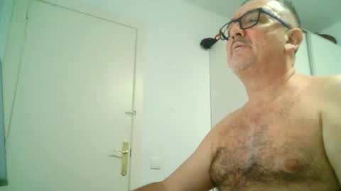 Snapshot of apixaba chatting on 09-08-25, 10:53 furry bear online show from 09-08-25, 10:53