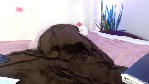 Apolo online show from 12-11-24, 03:58