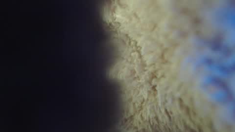 Snapshot of apriil_3 chatting on 02-05-25, 05:09 Abril Freelance Model online show from 02-05-25, 05:09