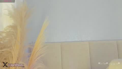 April online show from 07-23-26, 11:08