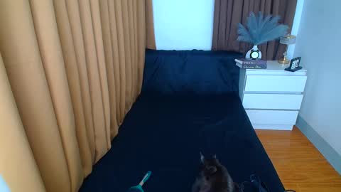 Snapshot of arabella_califa chatting on 03-09-25, 12:21 ARABELLA online show from 03-09-25, 12:21