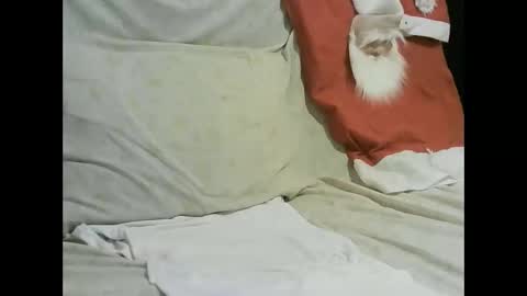 Snapshot of arabtrans2025 chatting on 01-17-25, 07:27 arabtrans2025 online show from 01-17-25, 07:27