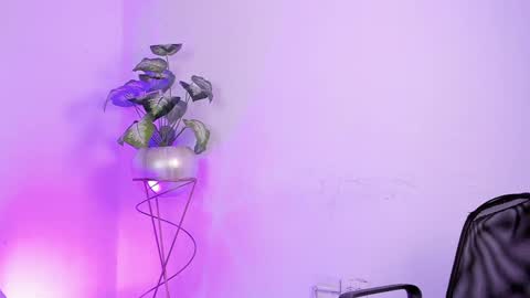   online show from 01-19-25, 08:29