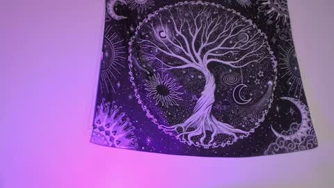 Aram 3 online show from 01-27-25, 06:41