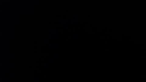 ARIANNA  online show from 02-14-26, 01:46