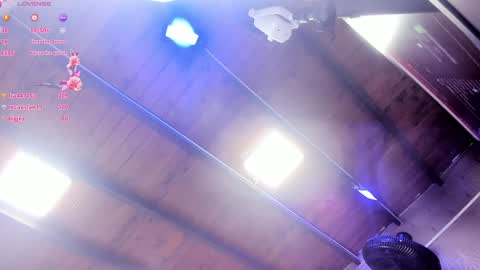 Snapshot of ari_monet chatting on 01-29-25, 11:41 ARI online show from 01-29-25, 11:41