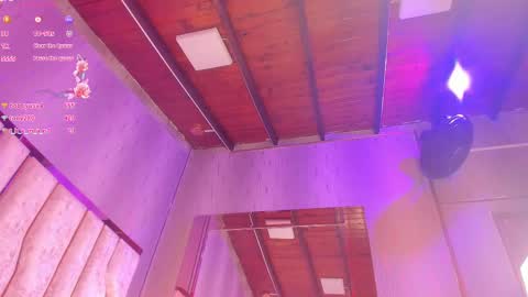 Snapshot of ari_monet chatting on 02-13-25, 05:54 ARI online show from 02-13-25, 05:54